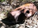 photo thumbnail #3