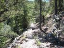 photo thumbnail #8