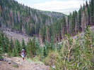 photo thumbnail #2