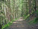photo thumbnail #5