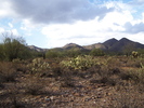 photo thumbnail #4