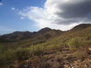 photo thumbnail #15
