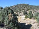 photo thumbnail #1