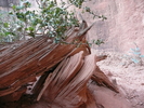 photo thumbnail #7