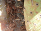 photo thumbnail #14