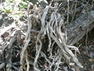 photo thumbnail #15