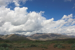 photo thumbnail #1