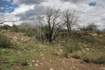 photo thumbnail #3