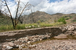 photo thumbnail #4
