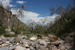 photo thumbnail #9