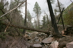 photo thumbnail #10
