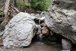 photo thumbnail #11