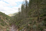 photo thumbnail #13