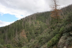 photo thumbnail #14