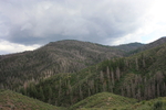 photo thumbnail #15
