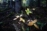 photo thumbnail #14