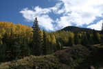 photo thumbnail #11