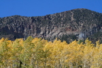 photo thumbnail #15
