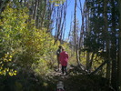 photo thumbnail #4