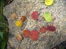 photo thumbnail #3