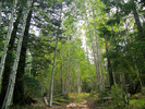 photo thumbnail #8