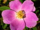 photo thumbnail #8