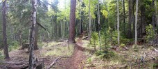 photo thumbnail #1