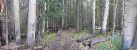 photo thumbnail #3