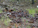 photo thumbnail #5