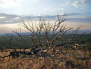 photo thumbnail #14