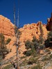 photo thumbnail #6