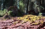 photo thumbnail #3