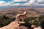 photo thumbnail #8