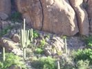photo thumbnail #8