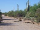 photo thumbnail #11