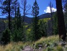 photo thumbnail #4