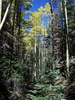 photo thumbnail #6
