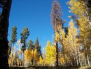 photo thumbnail #6