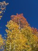 photo thumbnail #11