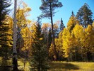 photo thumbnail #13