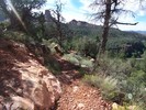 photo thumbnail #5