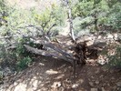 photo thumbnail #11