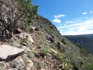 photo thumbnail #12