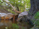 photo thumbnail #7