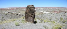 photo thumbnail #7