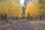 photo thumbnail #3