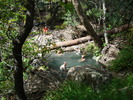 photo thumbnail #5