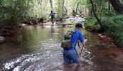 photo thumbnail #15