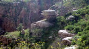 photo thumbnail #1