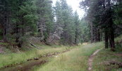 photo thumbnail #6